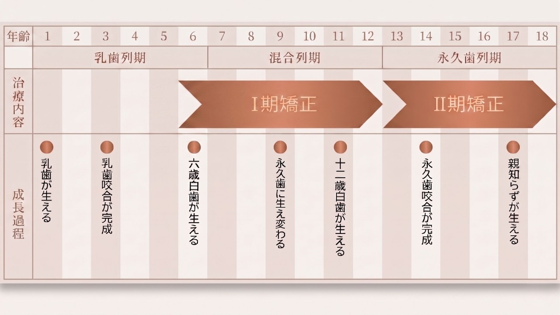 小児矯正のステップ:Ⅰ期治療とⅡ期治療の図解
